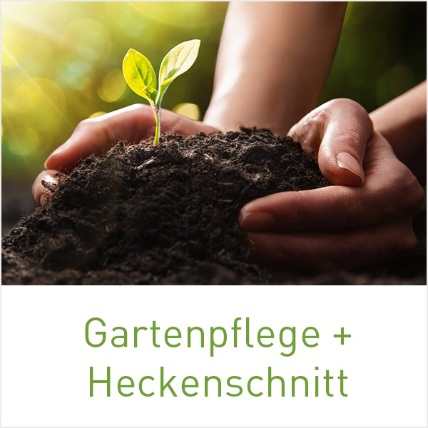 Gartenbau und Landschaftsbau (GaLaBau) Stefan Ziegler in Nuthetal, Saarmund, Bergholz-Rehbrücke und Michendorf