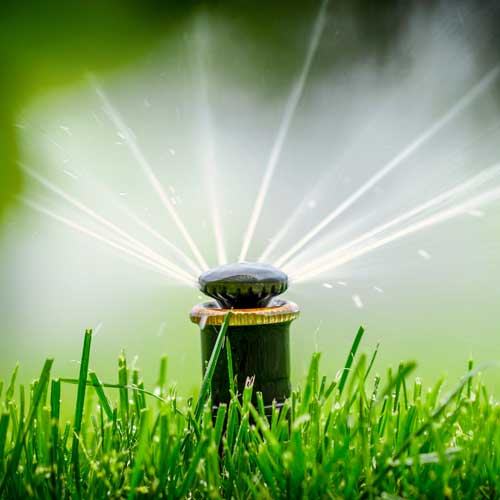 Vollautomatische Bewässerung im Garten, Bewässerungsanlagen und Bewässerungssysteme für Stahnsdorf, Kleinmachnow und Teltow