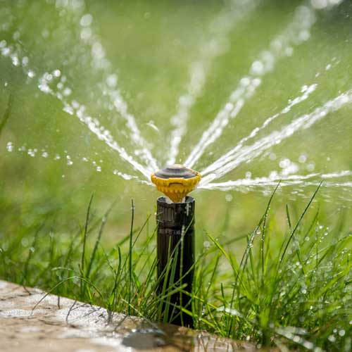 Vollautomatische Bewässerung im Garten, Bewässerungsanlagen und Bewässerungssysteme für Stahnsdorf, Kleinmachnow und Teltow